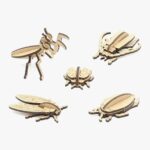 나무 곤충 만들기 5종 세트 교구