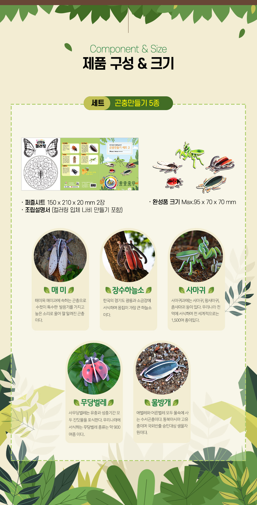 모또 곤충 만들기 시즌2 (5종)