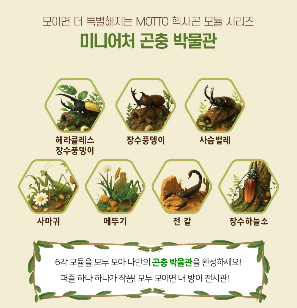 모또 육각 곤충 장수풍뎅이 만들기