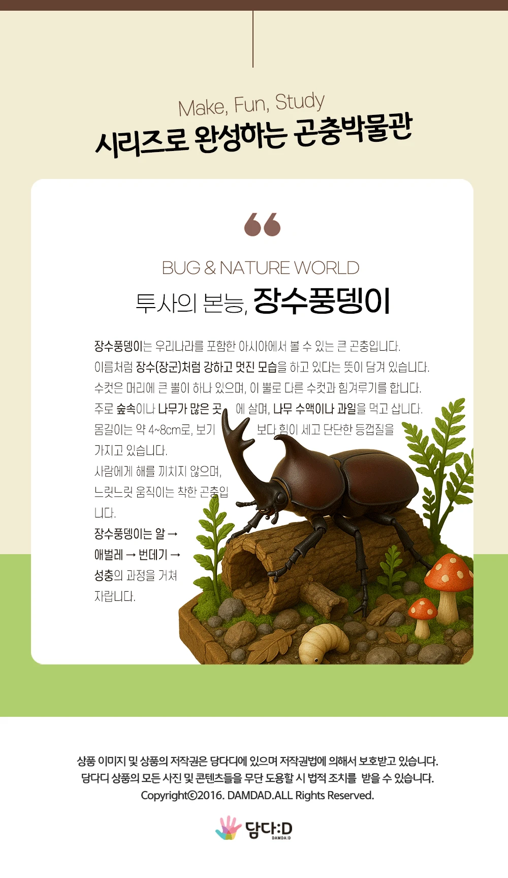 모또 육각 곤충 장수풍뎅이 만들기